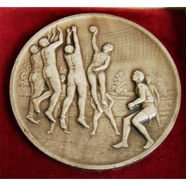 Volejbal medaile velká (sport)