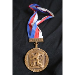 Batoh modrý s kovovým výstuhami 