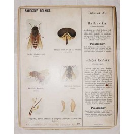 Škůdce rolníka č.23 - Bzikavka a Střeček koňský (školní výuková tabule) Škůdce rolníka č.23 - Bzikavka a Střeček koňský (školní výuková tabule)